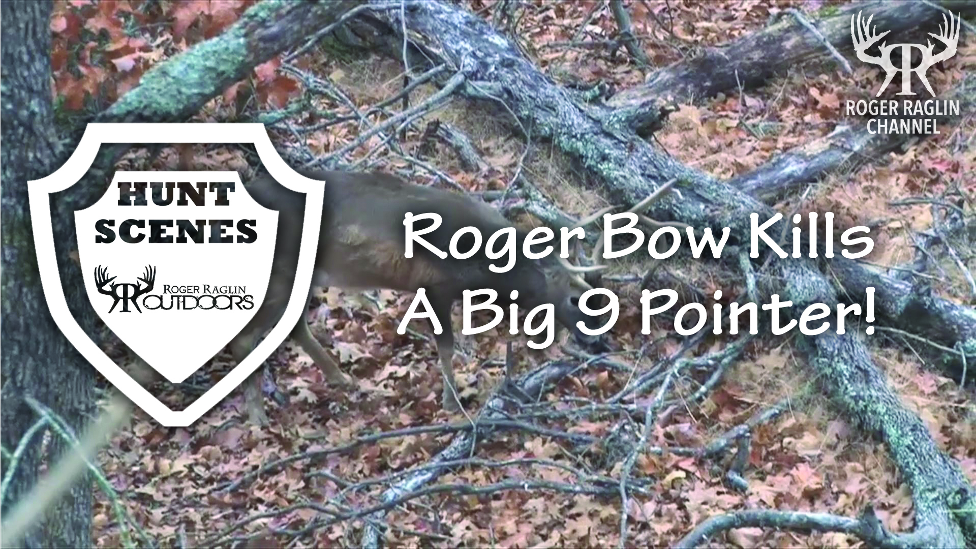 Roger Bow Kills a Big 9 Pointer in 2011 • Hunt Scenes