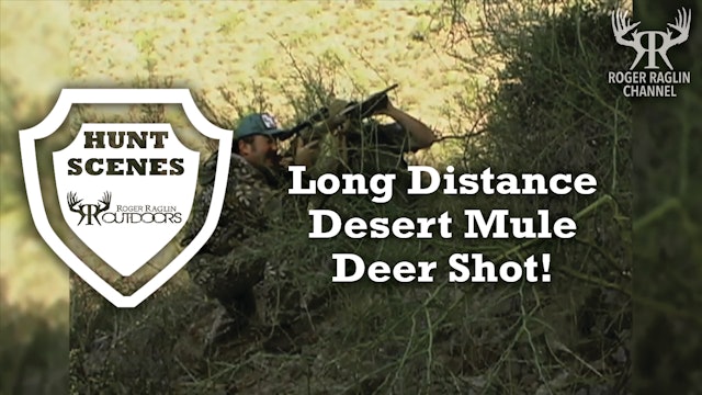 Roger's Long Distance Desert Mule Deer Shot • Hunt Scenes
