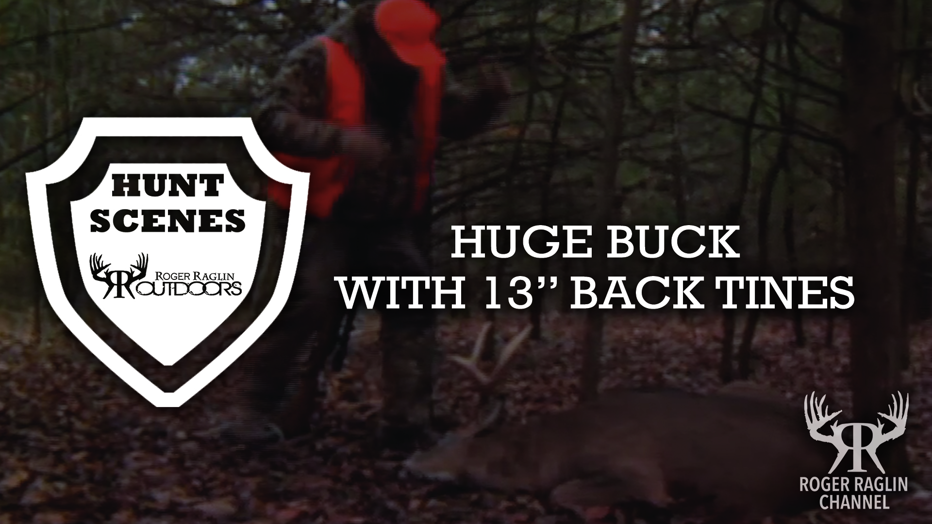 Huge Buck With 13" Back Tines • Hunt Scenes