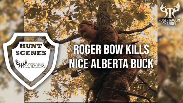 Roger Bow Kills an Early Season Alber...