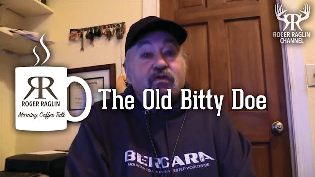 The Old Bitty Doe • Morning Coffee