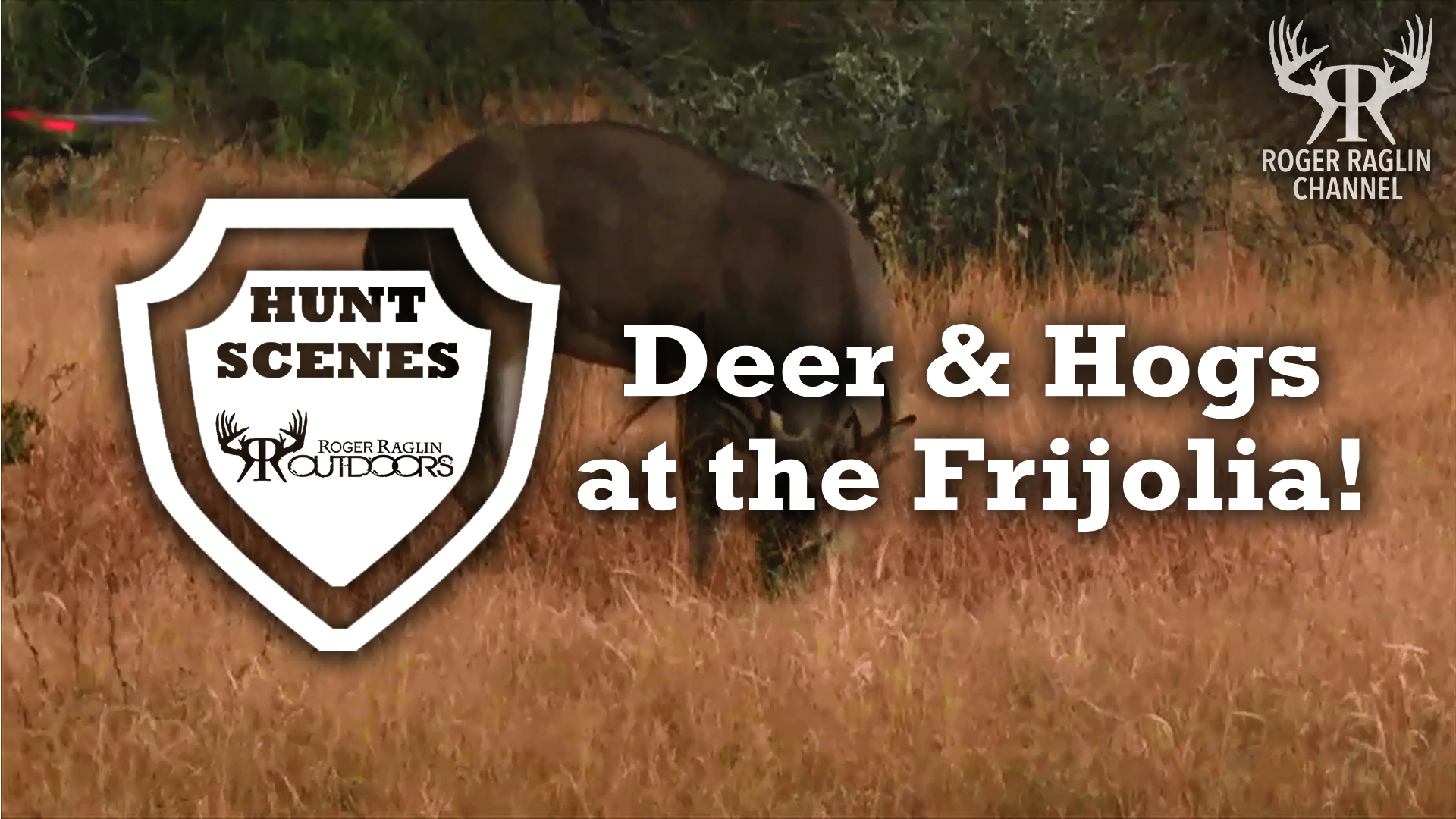 Roger and Josh Shoot Deer and Hogs at the Frijolia • Hunt Scenes
