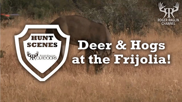 Roger and Josh Shoot Deer and Hogs at the Frijolia • Hunt Scenes