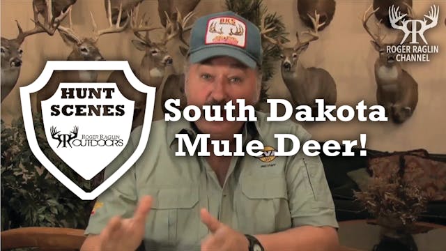 Roger Shoots a South Dakota Mule Deer...