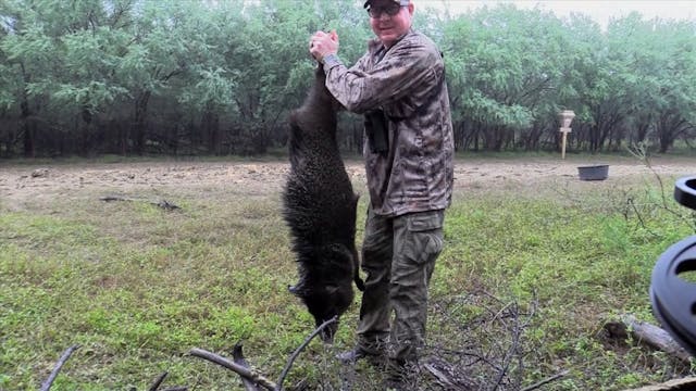 Grant Wahlgren's Javelina Kill*
