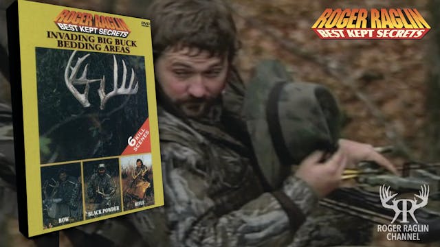 Invading Big Buck Bedding Areas • Vin...