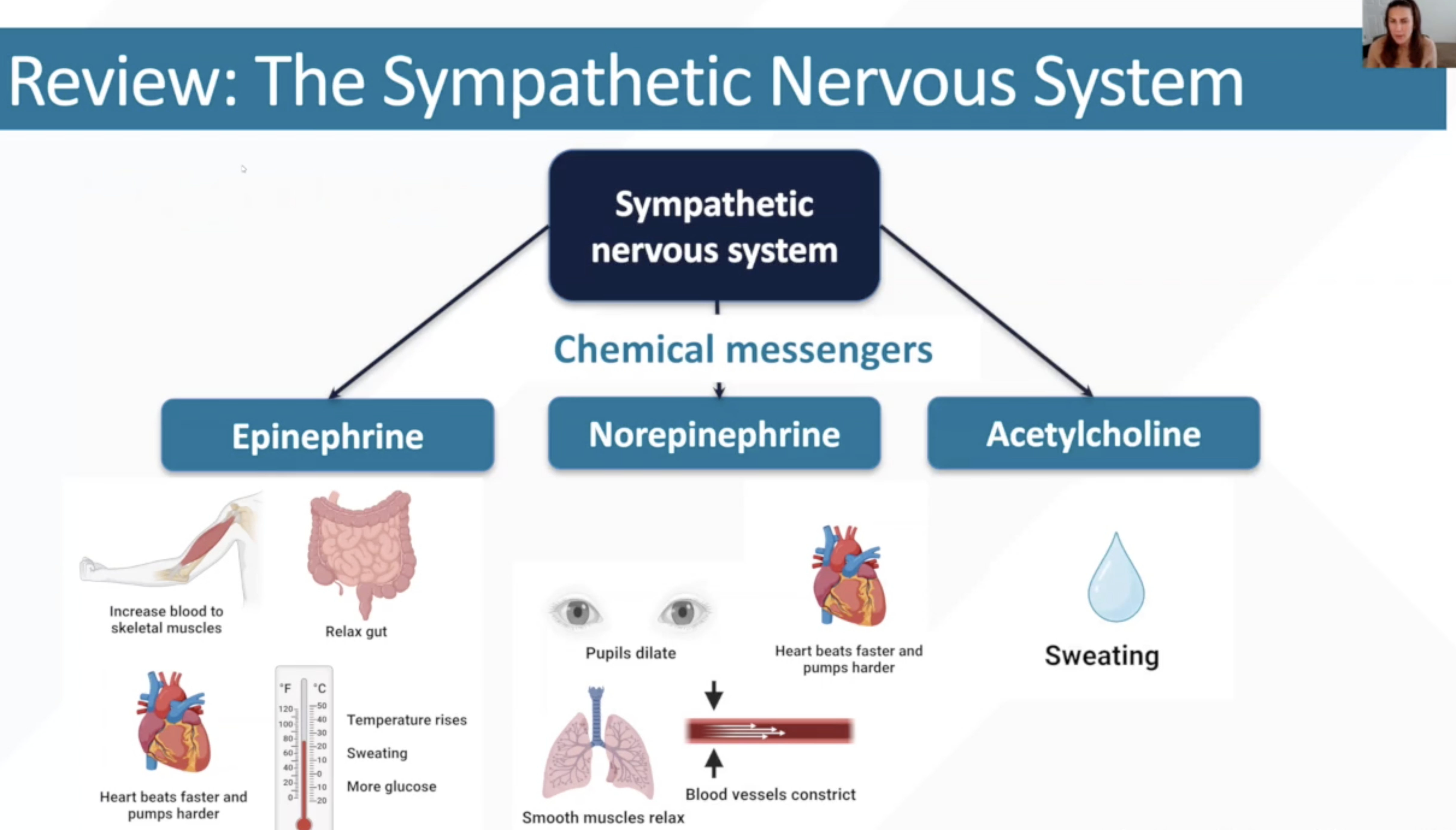 June 2024 Educational Lecture ~ Orthostatic Hypotension