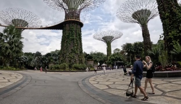 Virtual Walking Singapore Gardens by ...