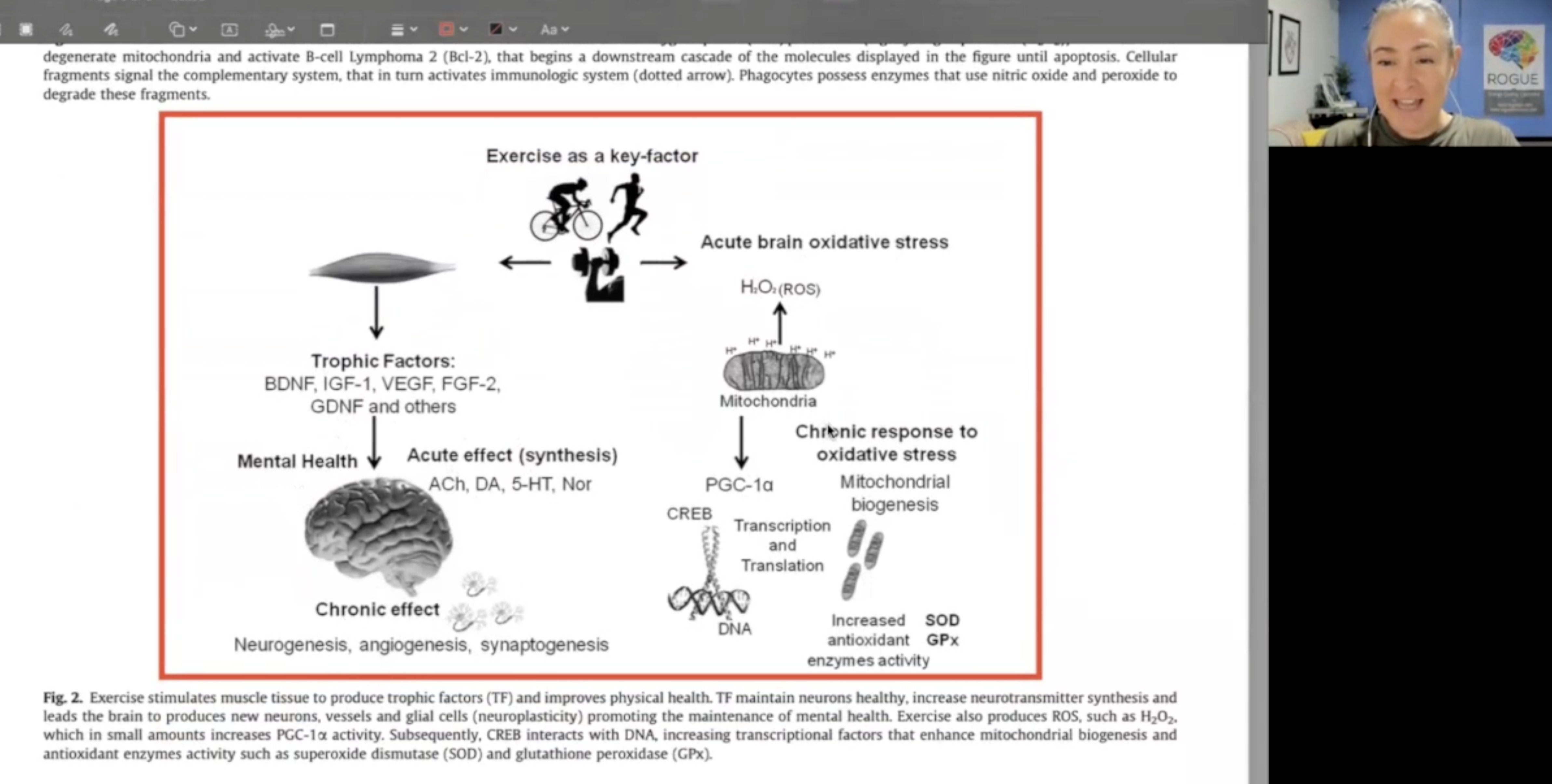 Jan 2025 Research Highlight~ Neurobio hypothesis of exercise as treatment for PD