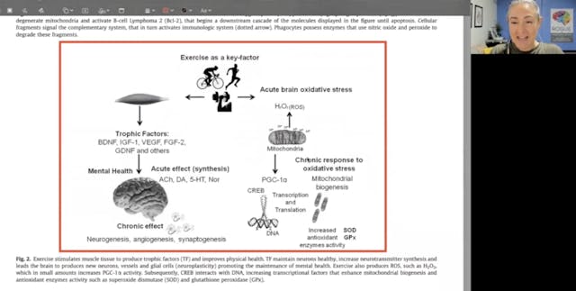 Jan 2025 Research Highlight~ Neurobio...