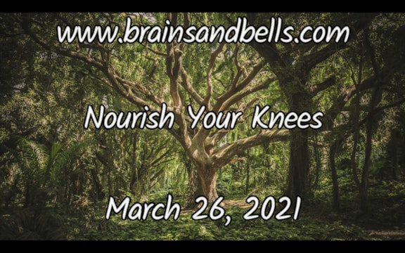 Nourish Your Knees Yoga