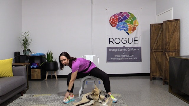 Exercise Snack - Seated PWR! Moves Variation #1
