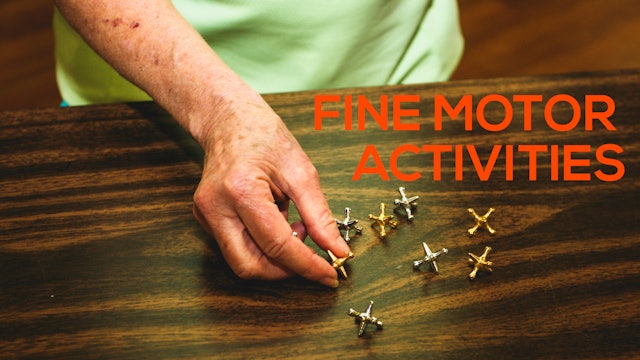 Fine Motor Activities