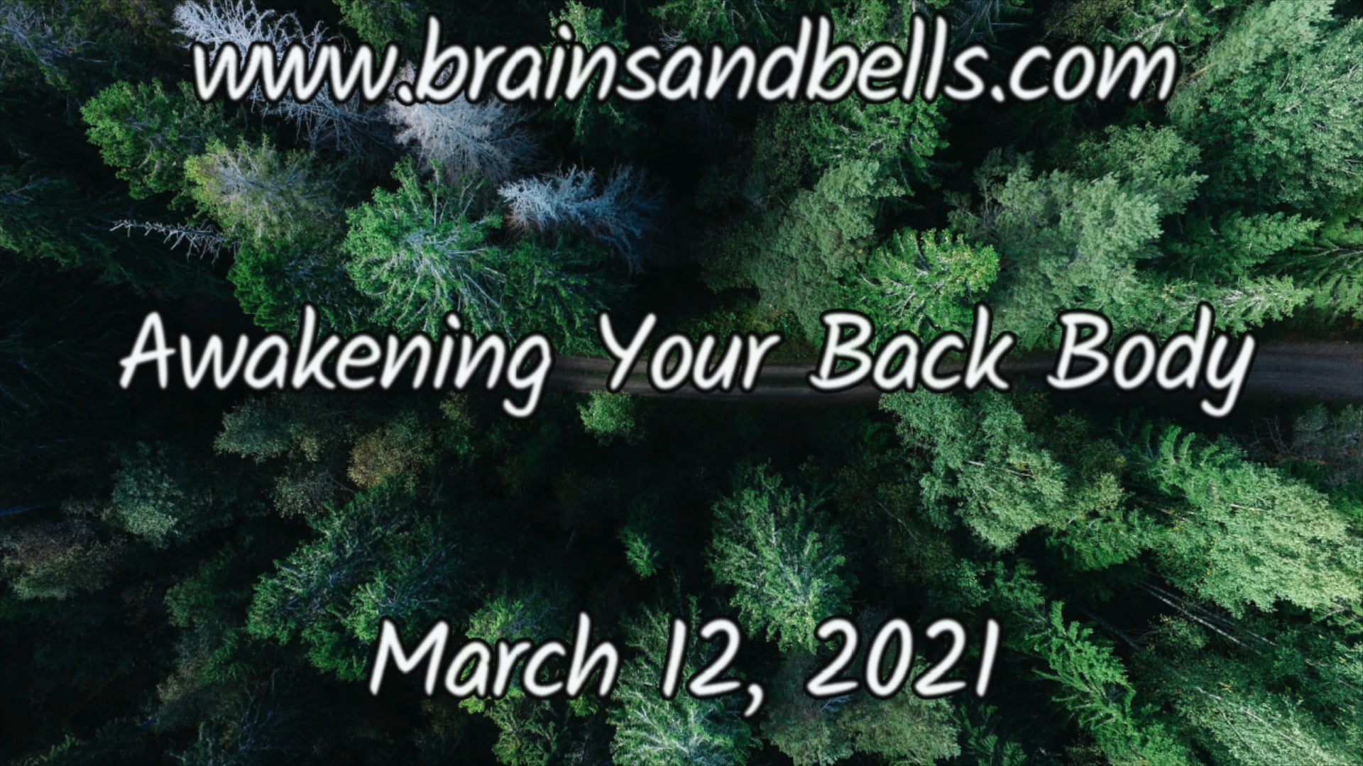 Awakening Your Back Body Yoga