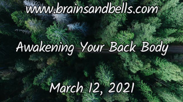 Awakening Your Back Body Yoga