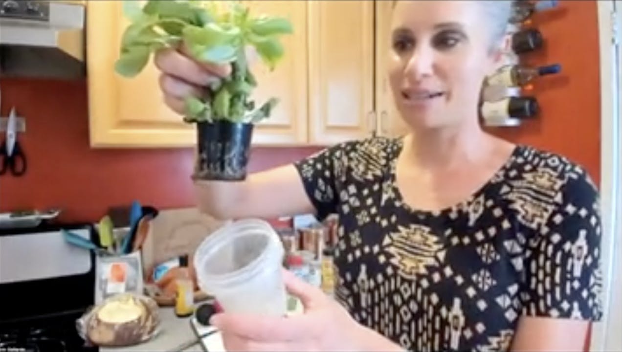 82323 Avocado Toast with Tomato + Basil Cooking Class 2023