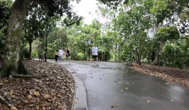 Virtual Walking Singapore Botanical Gardens + 1-5-24 Cardio with Madi!