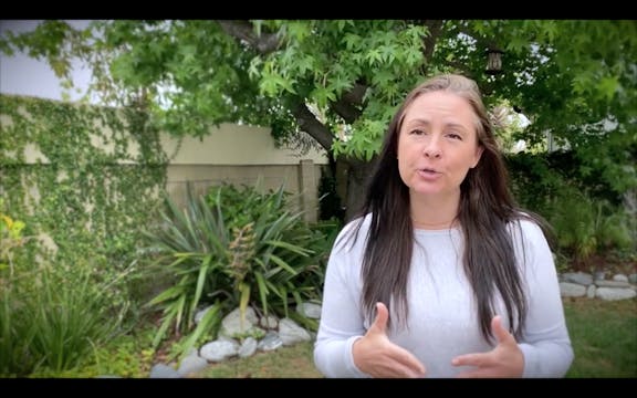 Individual PT + Exercise