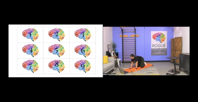 December 2023 Brain + Body Training ~...