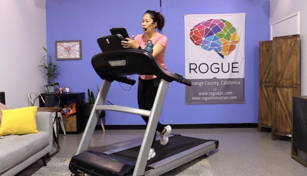 Rogue discount fitness treadmill