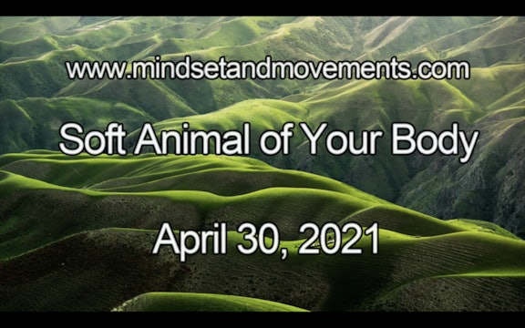 Soft Animal of Your Body Yoga