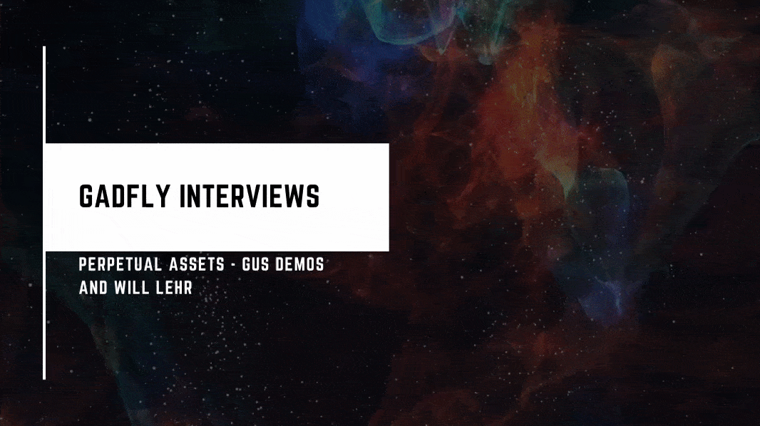 Gadfly Interview: Perpetual Assets - Gus Demos & Will Lehr (3/9/20)