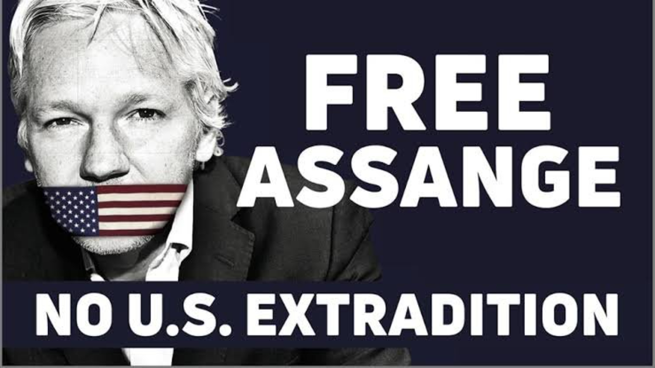 Gadfly Interview: Alex Hills - Candles4Assange #FREEASSANGE (11/25/2020)