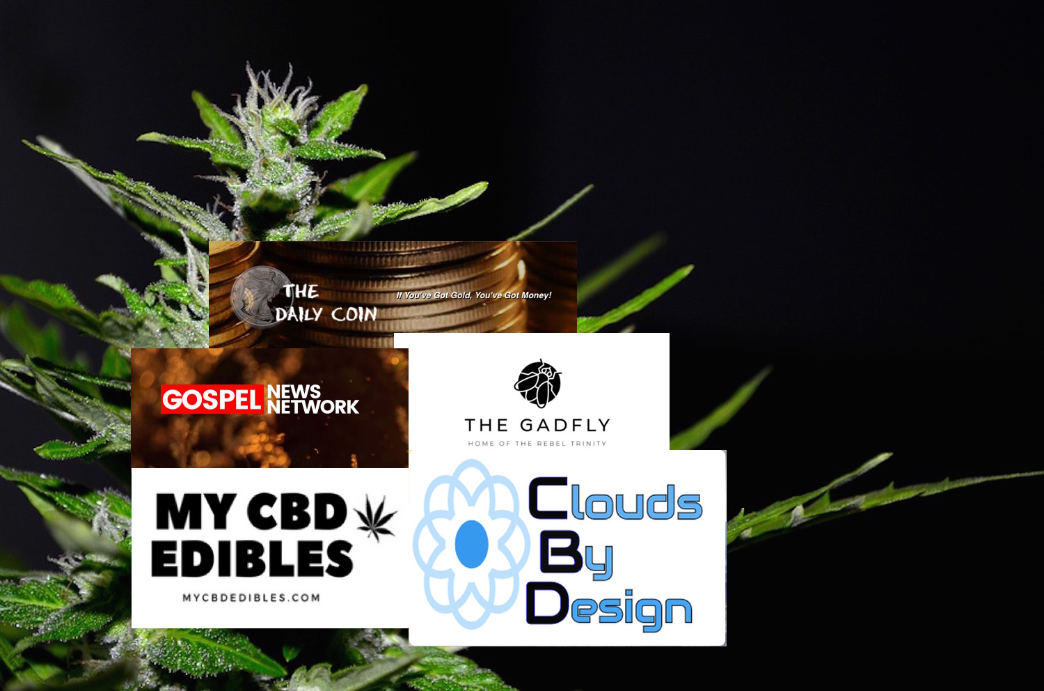 CJ, Elise and Steve: Clouds by Design - Infused, Organic and Healthy