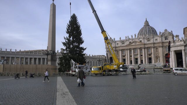 El árbol de Navidad ya ha llegado a l...