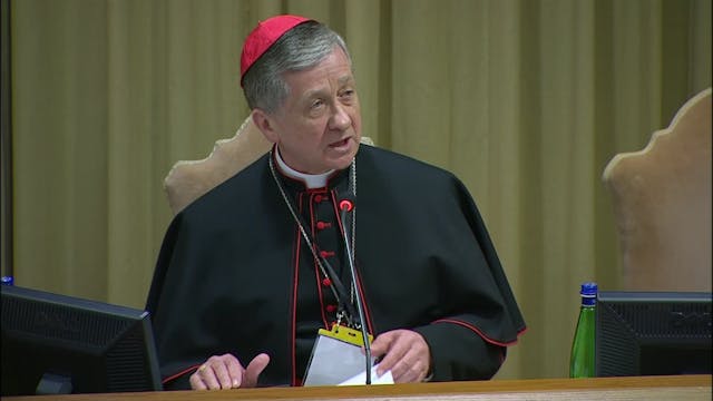 Card. Cupich: Reporting allegations o...