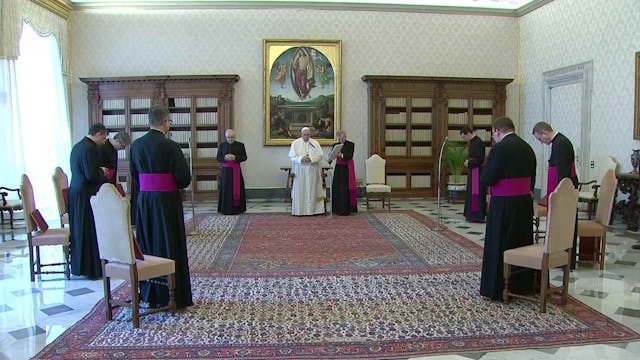 El Papa en la Audiencia suma su voz a...