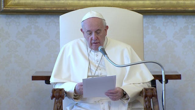Pope at Audience: Most noble battle i...