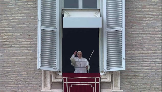 Papa en el Regina Coeli: Cada uno pre...