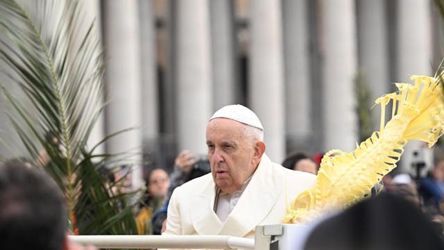 El Papa en la misa de domingo de ramo...