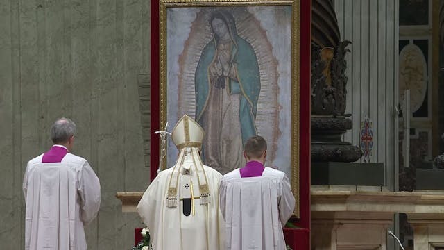 Pope in Guadalupe Mass: Mary teaches ...