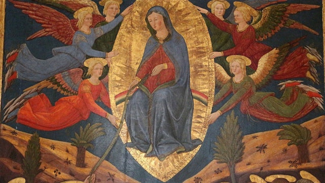 Pope Francis prays to Our Lady for peace on Solemnity of Assumption of Mary
