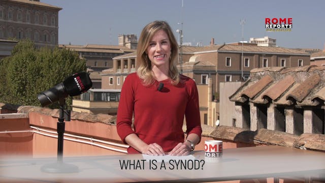 WHAT IS A SYNOD?