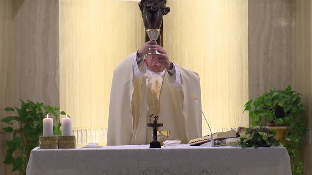 Pope Francis at Santa Marta: Am I fre...