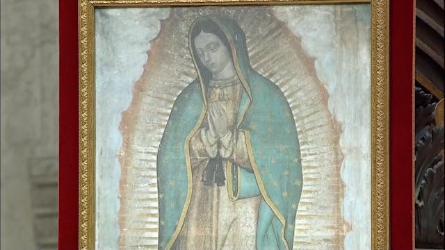 Pope Francis: "Our Lady of Guadalupe ...
