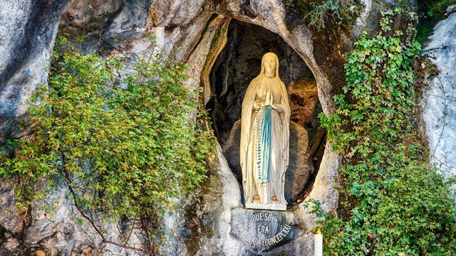 250 pilgrims travel to Lourdes to hon...