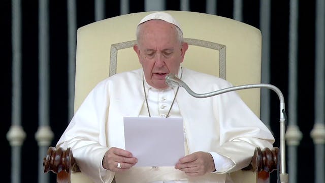 Papa en audiencia general: en los enf...