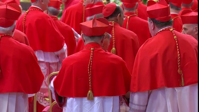 Francisco renueva el Consejo de Cardenales que le asesoran