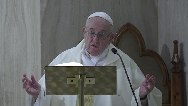 El Papa Francisco reza por la unidad ...