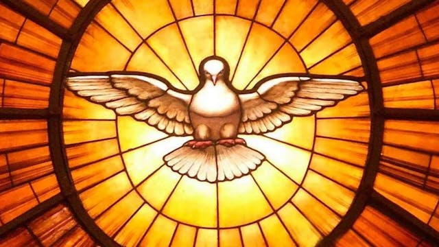 Catequesis del papa: El Espíritu Sant...