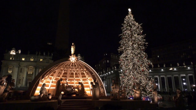 Pilgrims and tourists react to Vatican's Christmas tree and Nativity scene