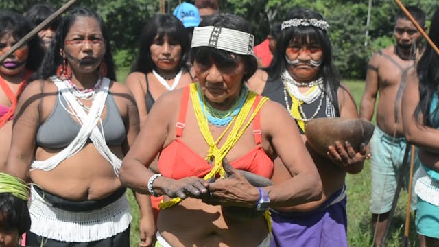 Indigenous people from Brazil: "We do...