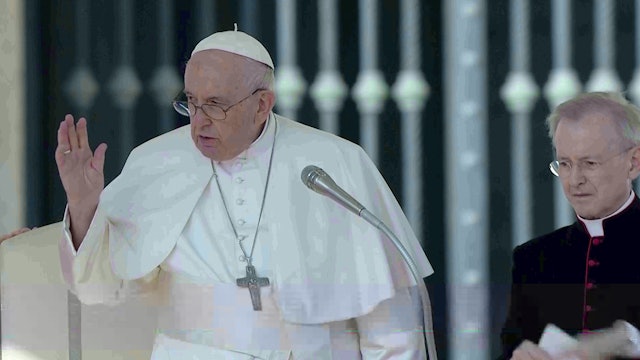 Papa alerta contra analfabetismo emotivo porque impide reconocer el amor de Dios