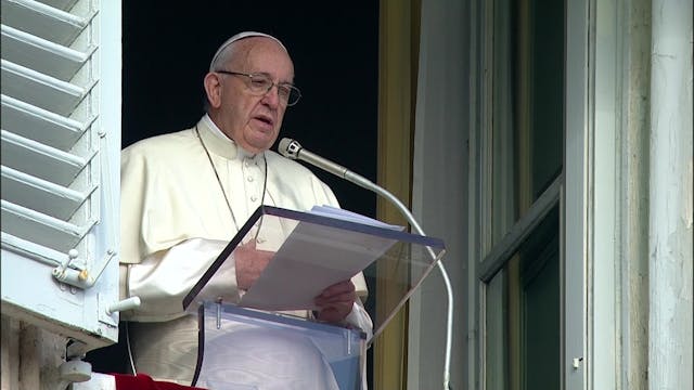 Pope at the Angelus: We are all respo...