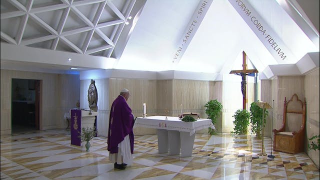 Pope prays for those in prisons, who ...