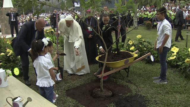 Olive tree planted at Vatican to commemorate Pope Francis' gesture of peace 